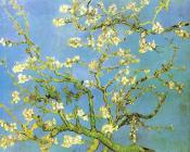 杏树枝上盛开的花朵 - 文森特·威廉·梵高